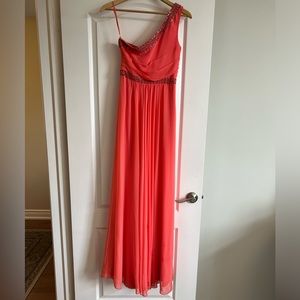 BCBG Prom dress/ brides maid dress